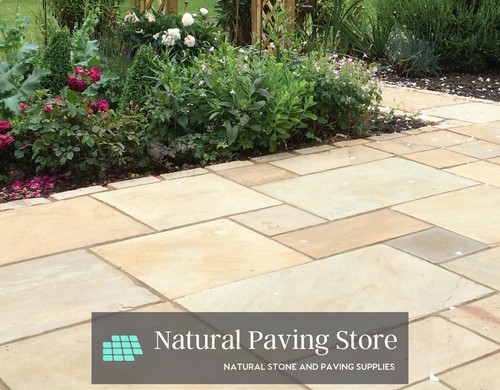 Fossil mint indian - mint, sandstone